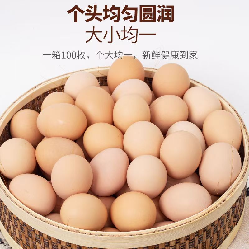 运料河50枚粉壳新鲜农家河林散养放养草鸡蛋月子蛋正宗土鸡蛋