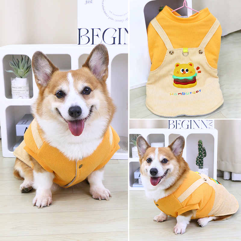 宠物狗狗衣服冬季加厚保暖秋冬保暖柯基泰迪比熊小型犬2024冬棉衣