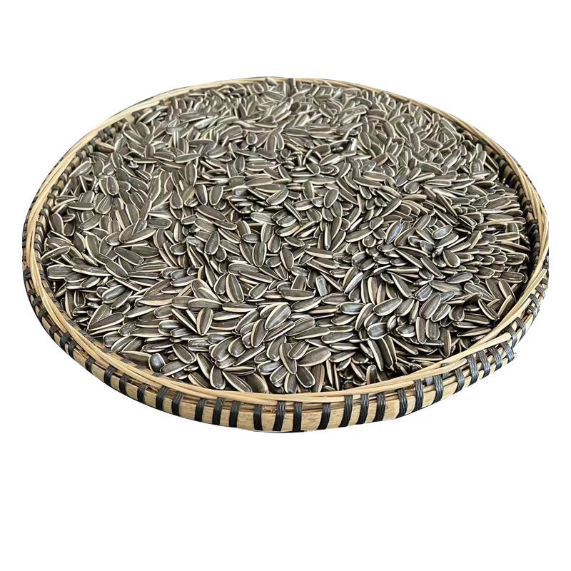 内蒙古赤峰特大礼品级363品种生瓜子皮薄肉厚仁个个是白胖子炒货