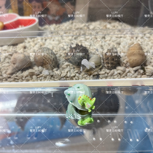 （小鼻噶）寄居蟹diy壳壳 可爱 闪亮 霸气 手工替换壳