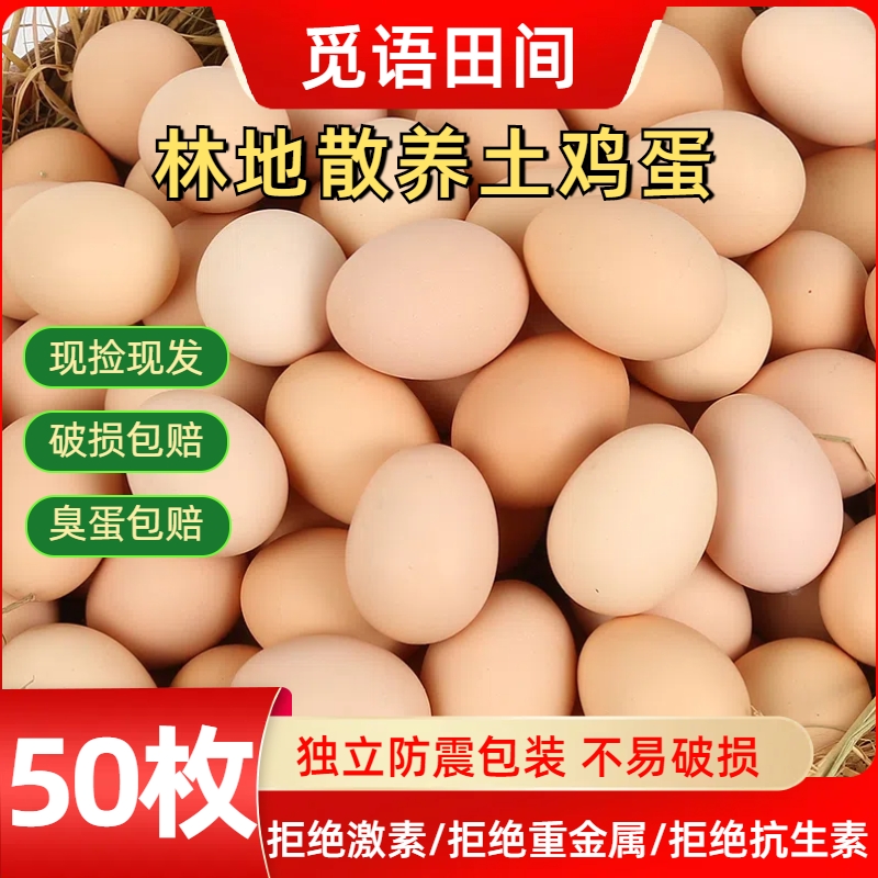【50枚】新鲜粉壳土鸡蛋 正宗农家散养鸡蛋 45±5g/枚 净重4.2-4.5斤