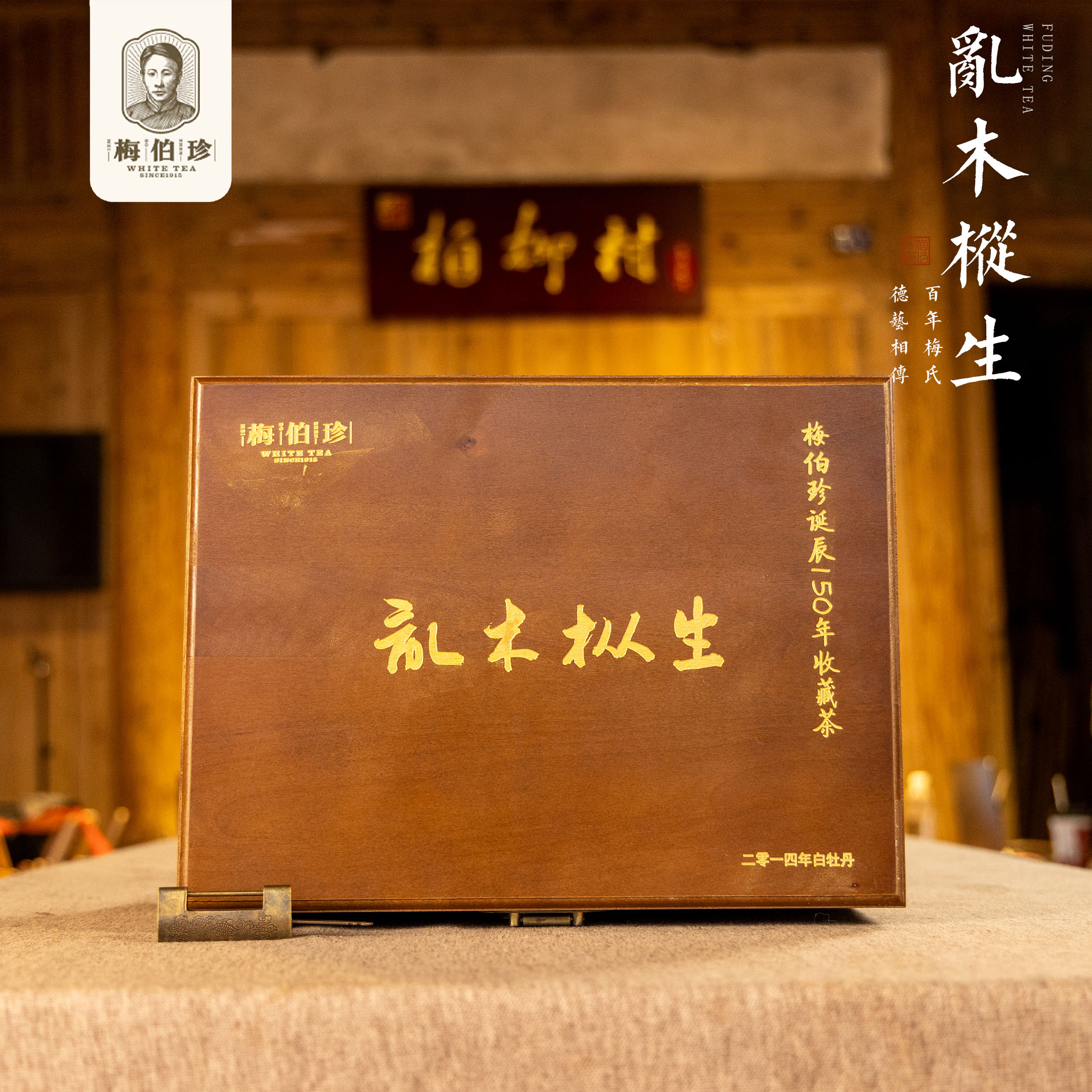 梅伯珍2014年牡丹乱木枞生白牡丹800g