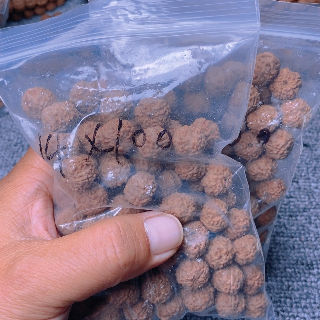 金刚菩提把件六**丶小金刚散籽