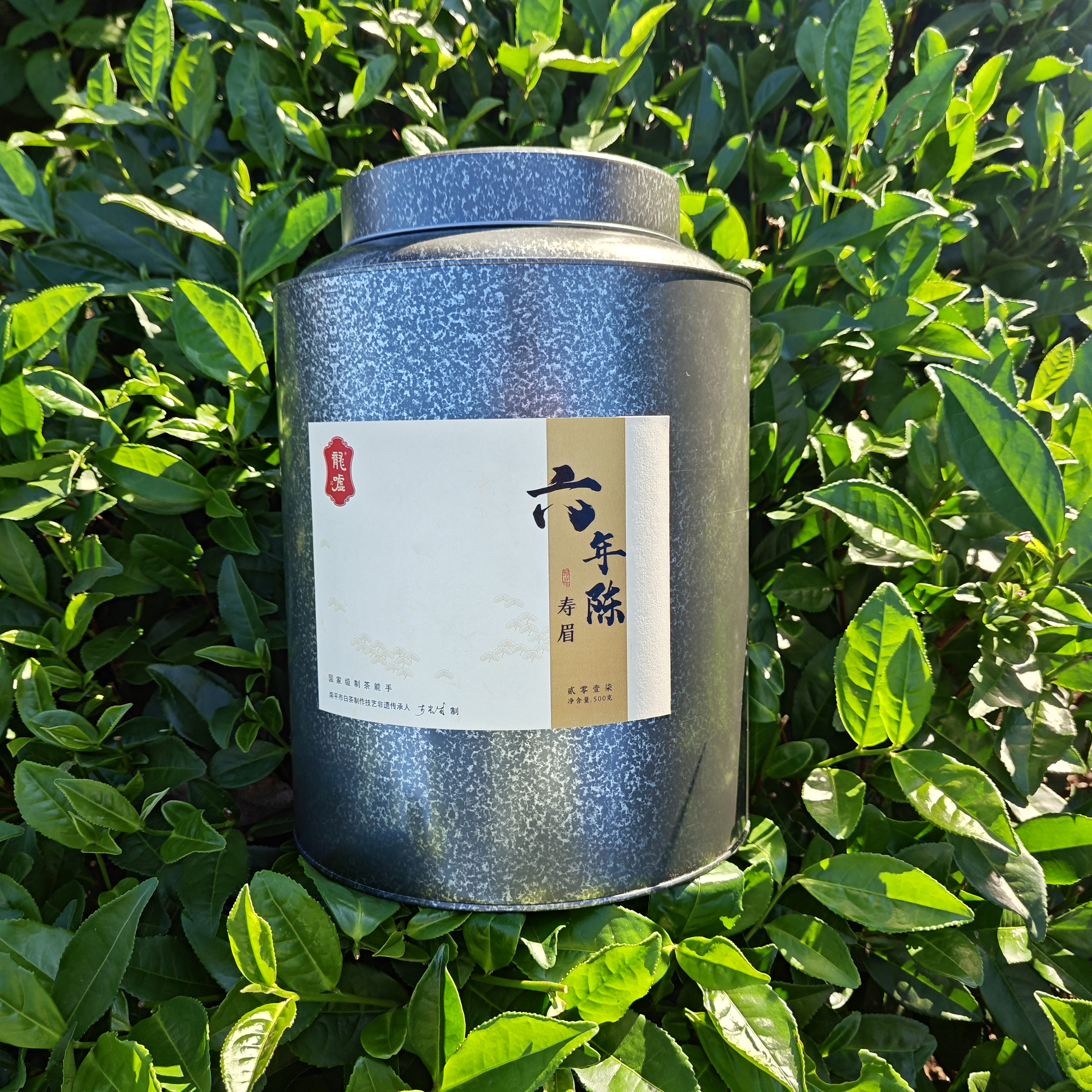 龍嘘【西洋参香型】2017年一级寿眉500g