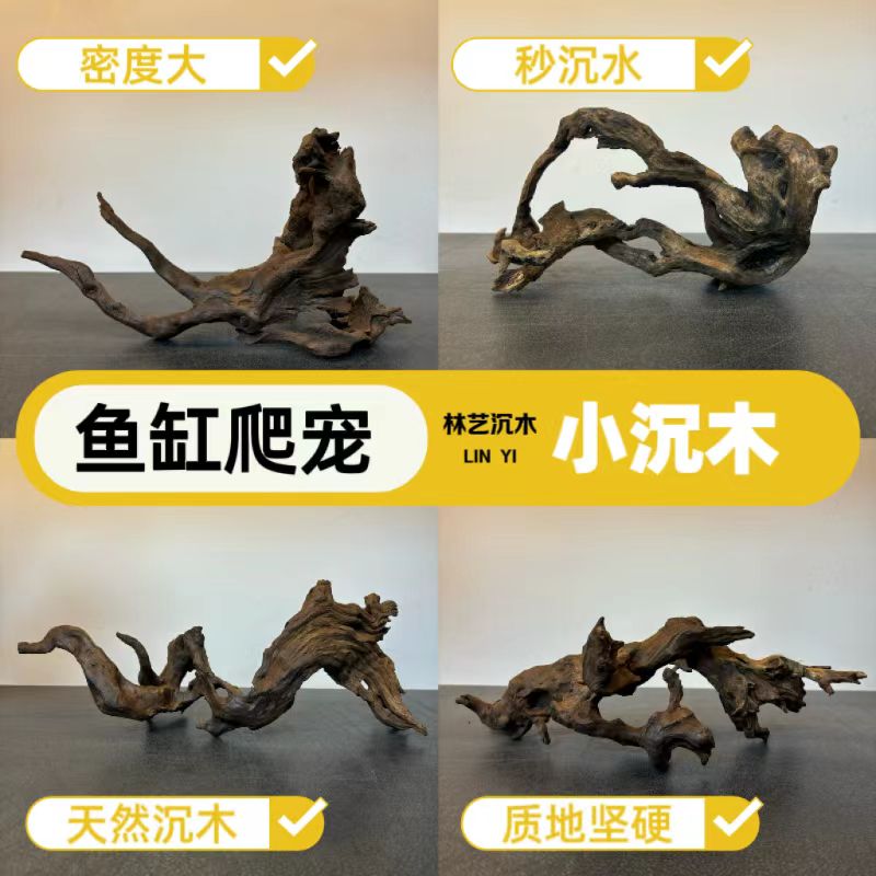 【精品】小型沉木鱼缸爬宠微景观造景素材