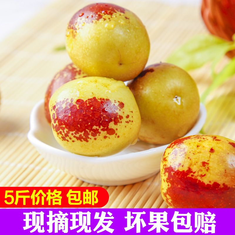 新鲜水果沾化冬枣3/5斤现摘现发孕妇大红枣青枣脆甜多汁产地批发