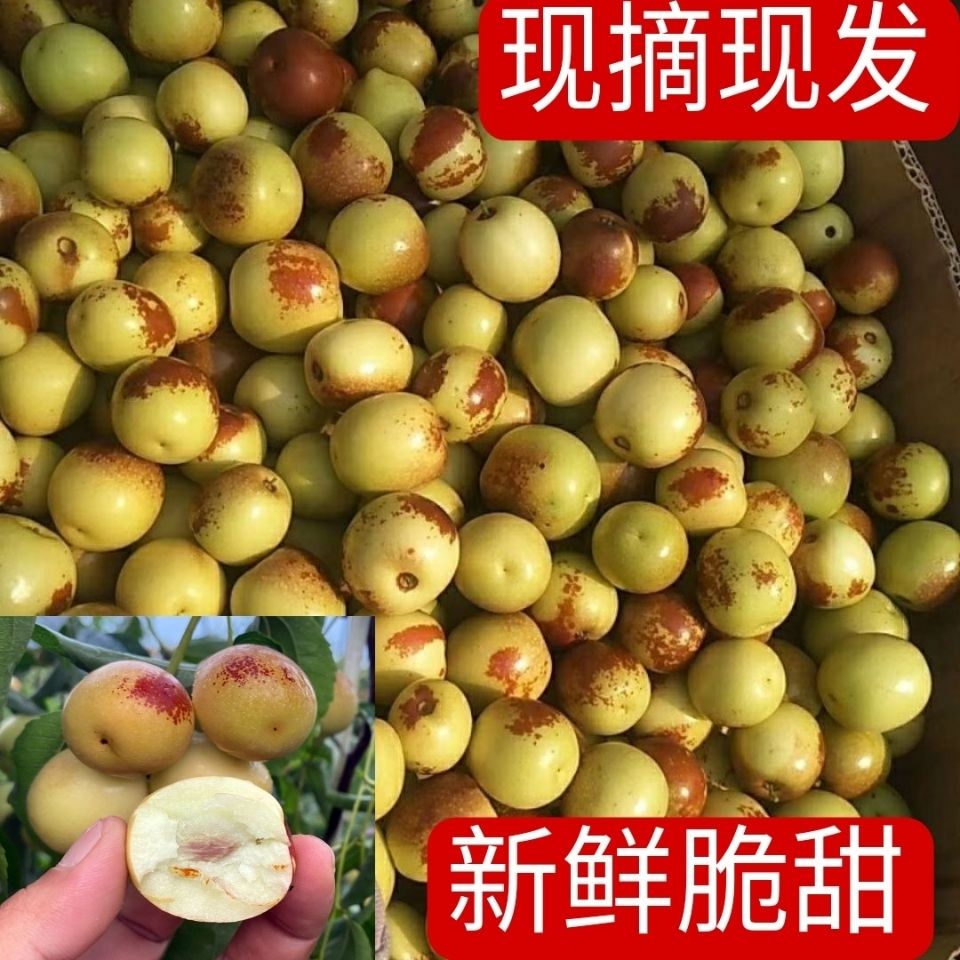 【现摘现发】冬枣脆甜新鲜水果多汁整箱孕妇鲜枣青枣黄骅应季冬枣