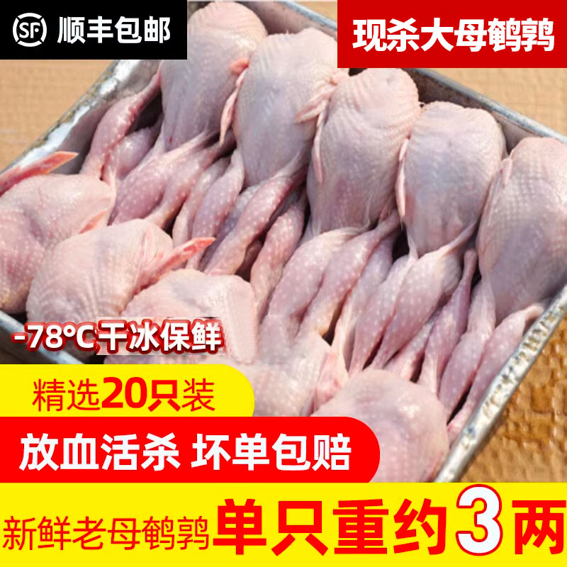 新鲜特大号母鹌鹑肉冷冻鹌鹑白条现杀炖汤红烧油炸烧烤生骨肉20只