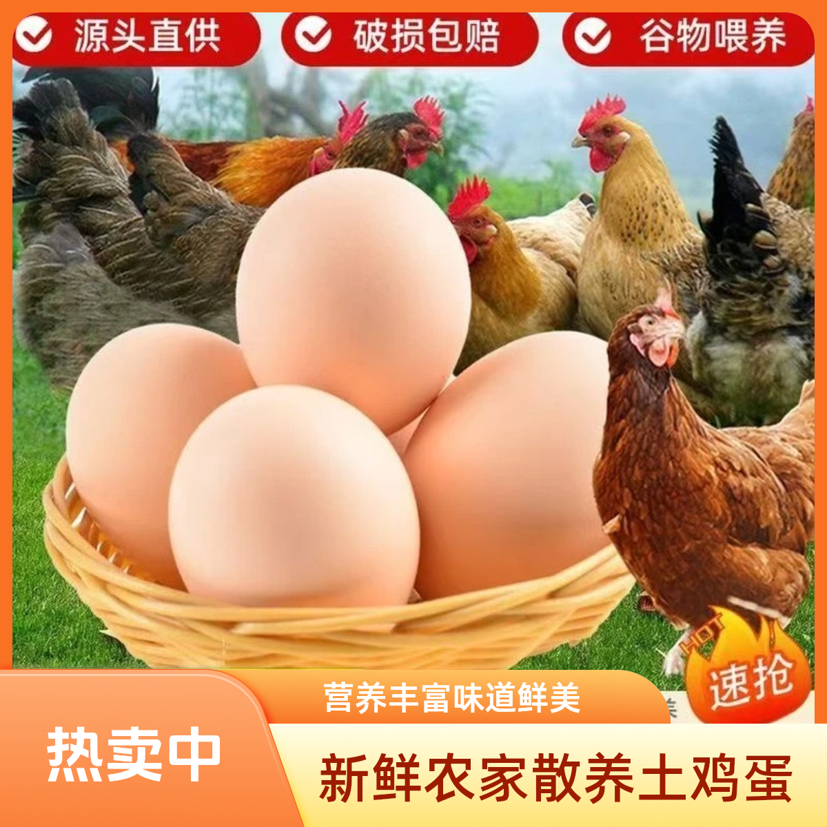 （单黄柴鸡蛋30枚）现捡现发。农村纯粮食土鸡蛋<贵在运费品尝款>