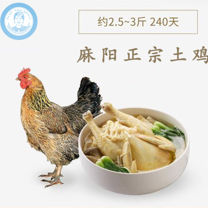 麻阳富硒散养土鸡原生态走地鸡老母鸡农家浓郁整鸡鸡汤鸡肉肉细