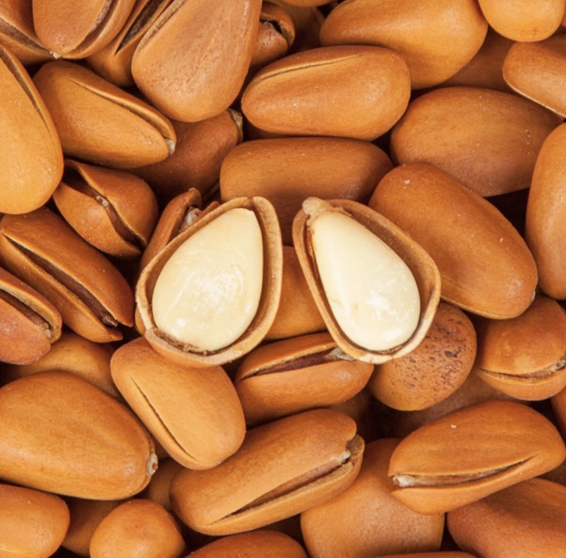 开口松子250克*2袋