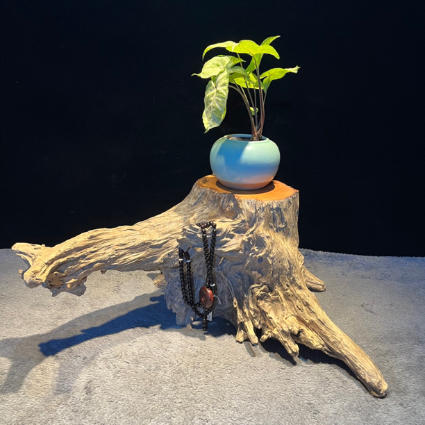 香柏木风化脱骨侘寂风民宿摆件创意干泡台花盆底座客厅书桌饰品