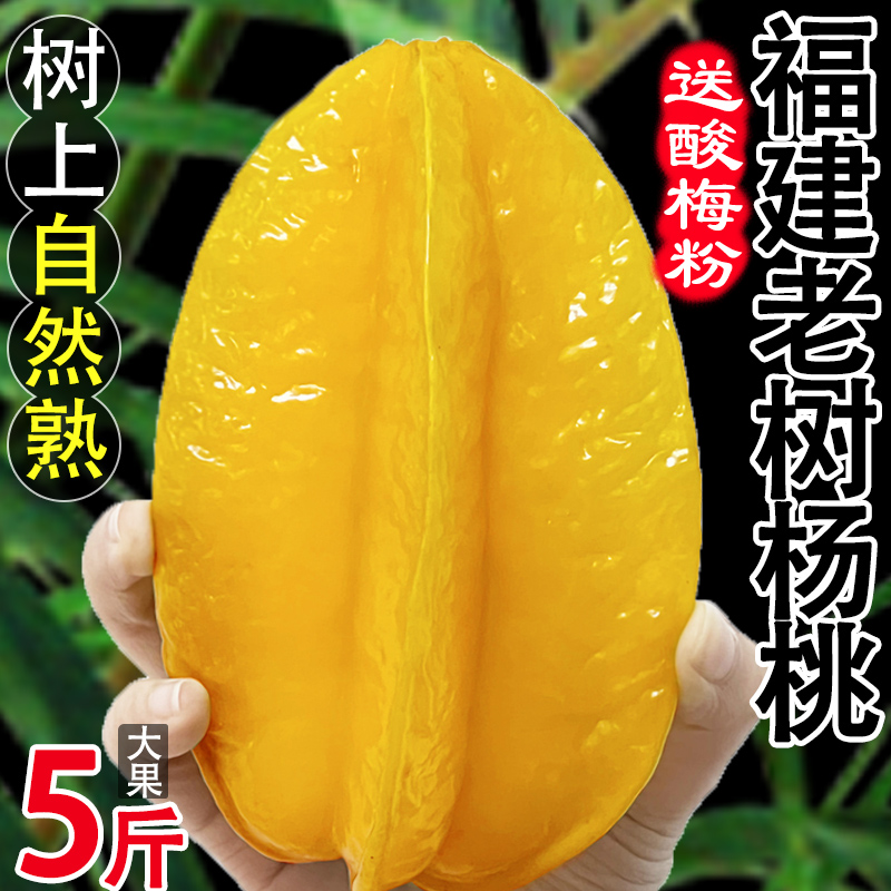 福建漳州甜杨桃装新鲜当季水果洋桃红扬桃五角星阳桃爽脆清甜爆汁