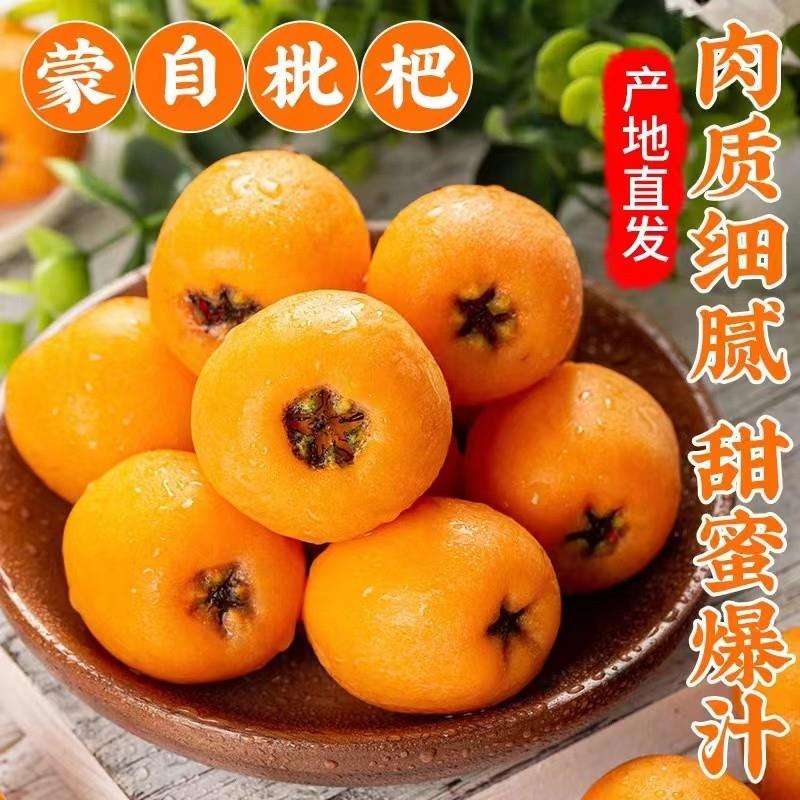 新鲜应季当季枇杷1/2/3斤装新鲜农家琵琶当季孕妇水果现摘现发