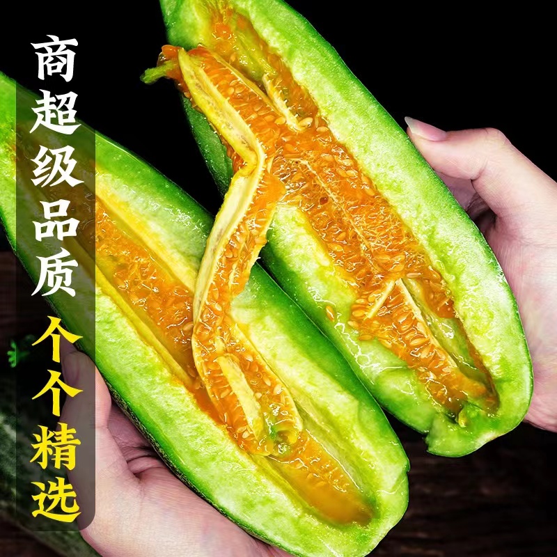 新鲜现摘山东羊角蜜甜瓜脆瓜香瓜新鲜水果5斤蜜瓜当季孕妇