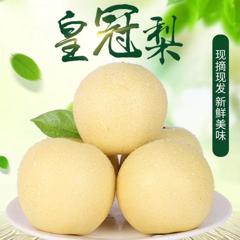 河北黄冠梨新鲜水果梨子皇冠梨皮薄多汁甜酥脆包邮非雪梨鸭梨