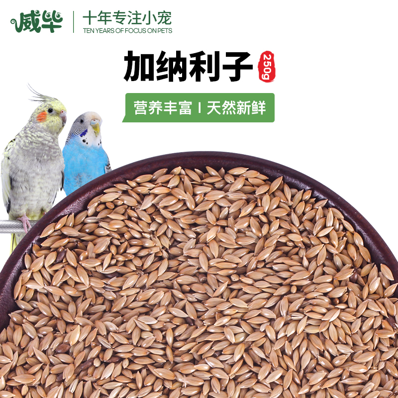 威毕白尖加纳利子珍珠鸟饲料食物产品玄凤牡丹绣眼鹦鹉鸟粮原味