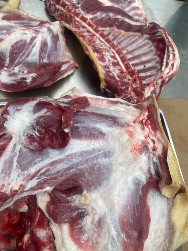 黑山羊优质放养新鲜羊肉火锅佳选