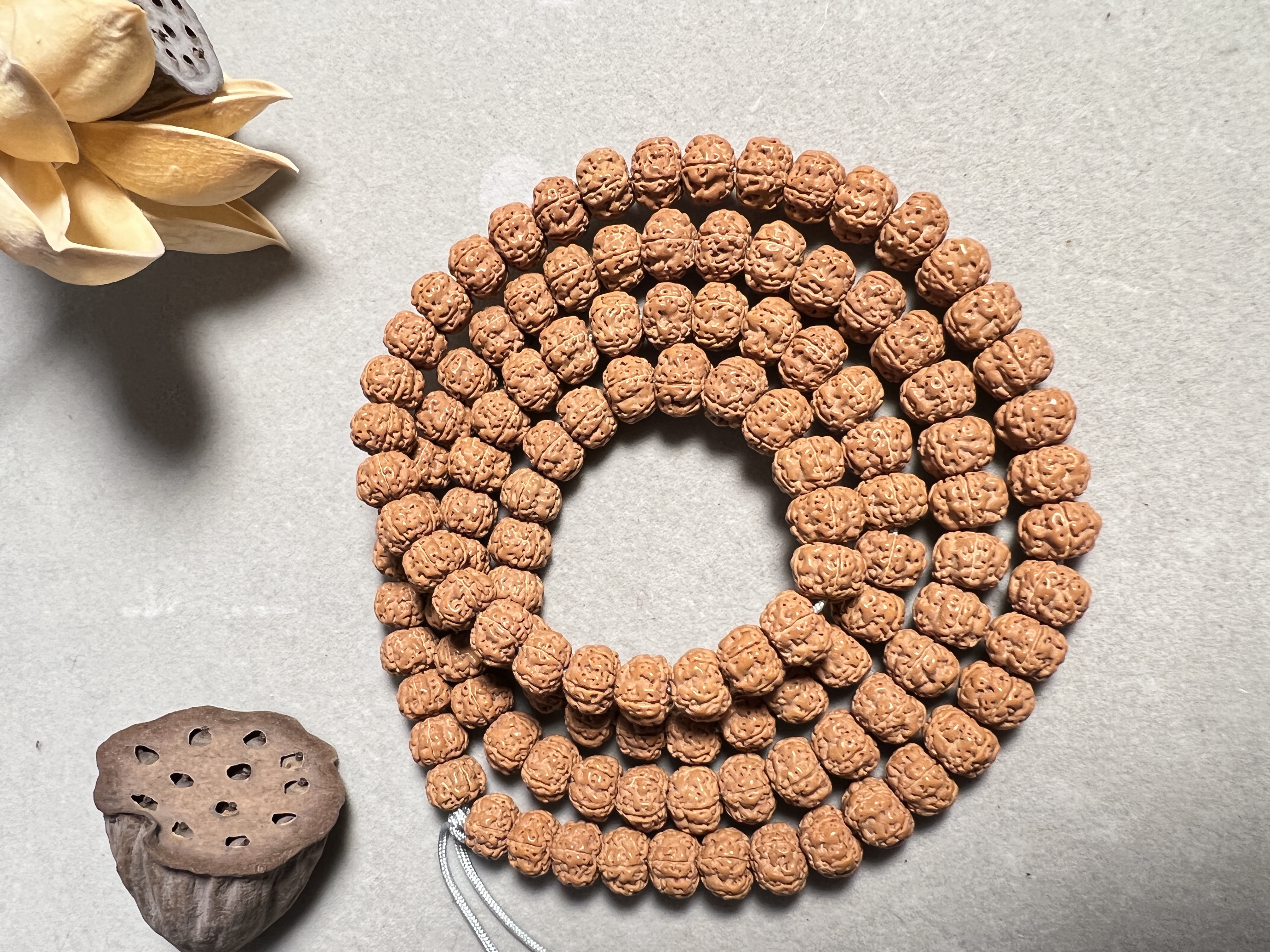 树祖平头细纹108颗佛珠 印尼小金刚菩提子金刚优选