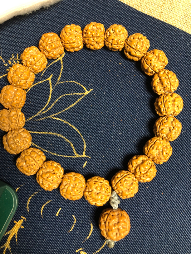 四瓣帝王龙小金刚菩提