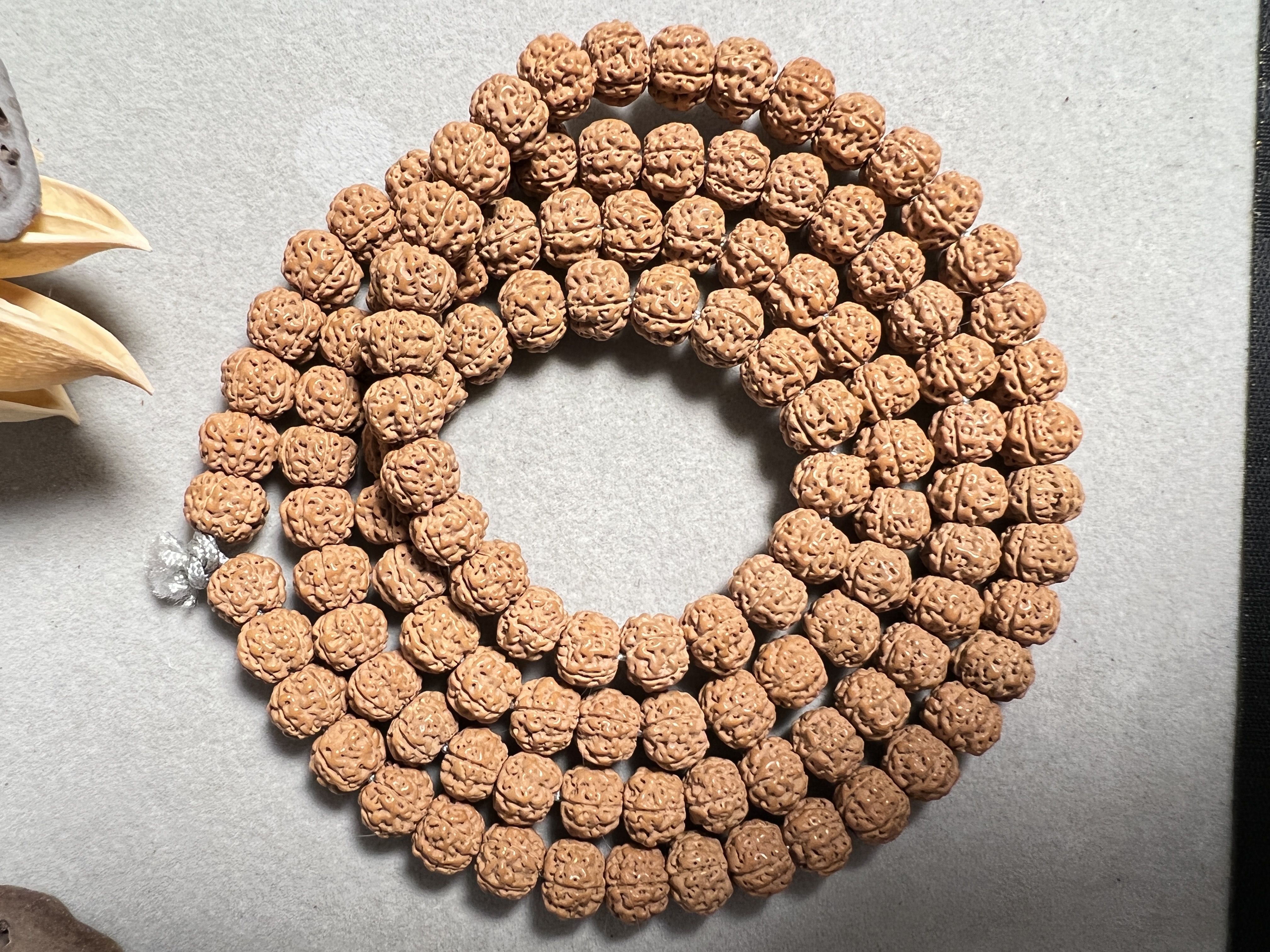 老树天价印尼小金刚菩提108颗佛珠