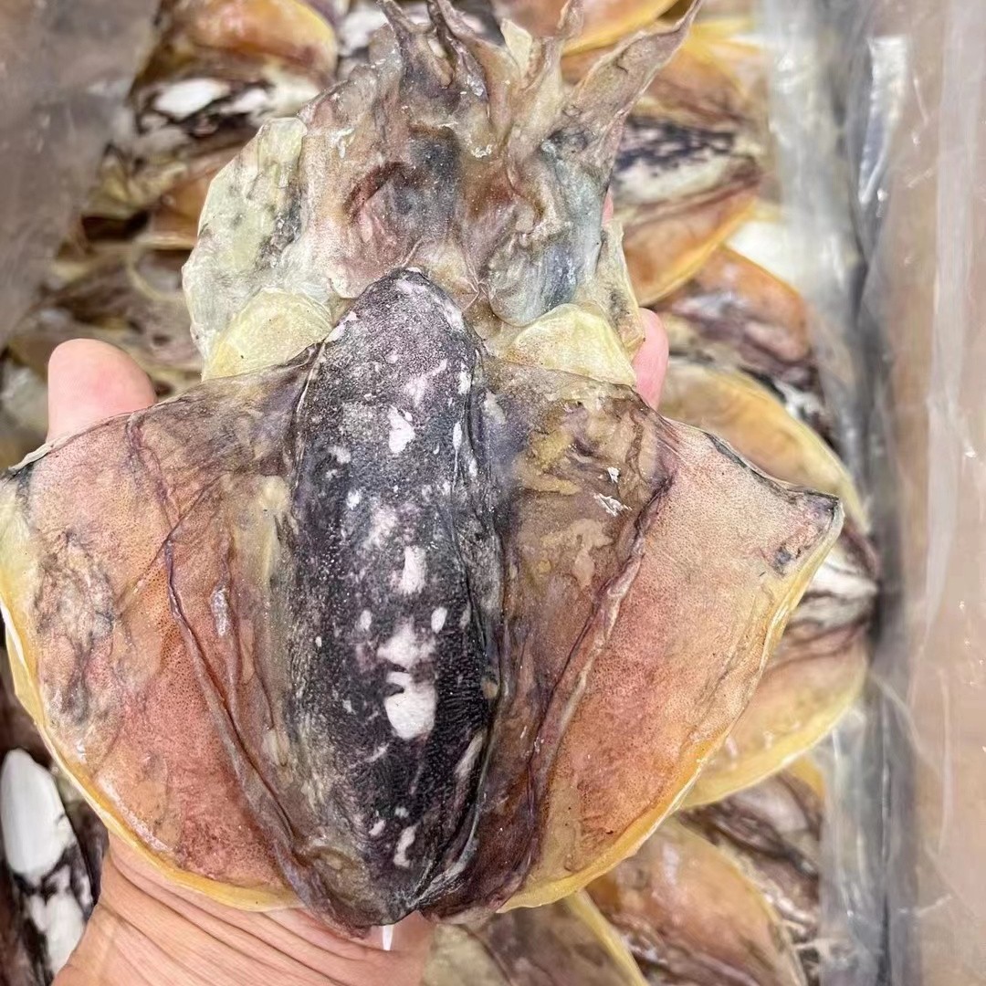 木沐滋补 淡干墨鱼 2个左右 500g