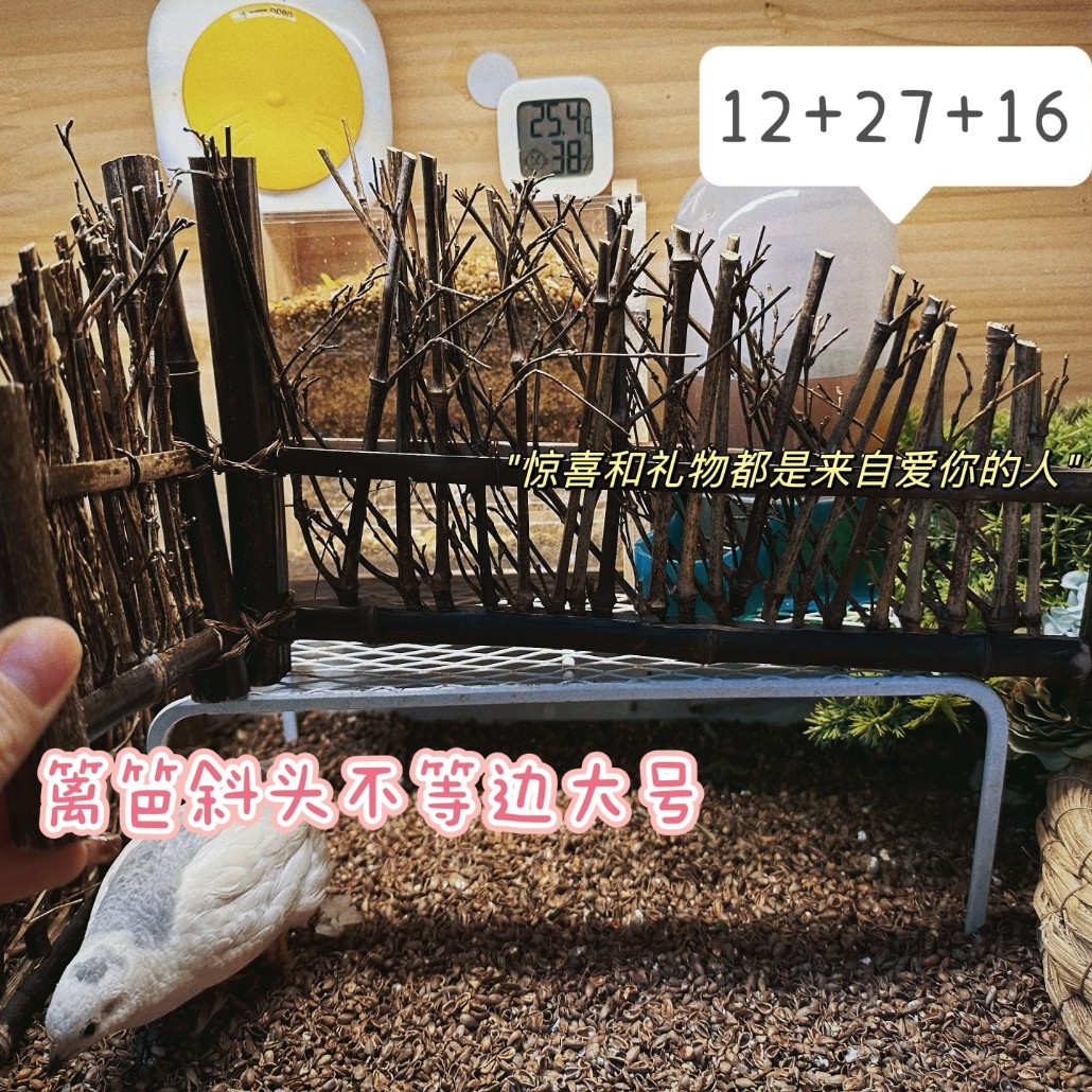 养殖箱装饰品竹篱笆装饰养殖箱栅栏装饰