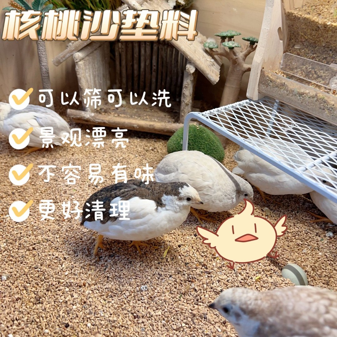 芦丁鸡专用核桃砂铲核桃砂专用小铲子、猫砂铲 