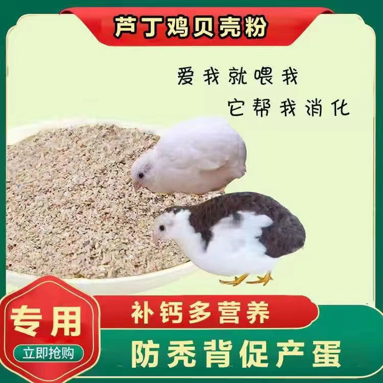 四季客芦丁鸡专用贝壳粉饲料添加牡蛎粉贝壳粉鸡鸭鹅鸽子贝壳饲料
