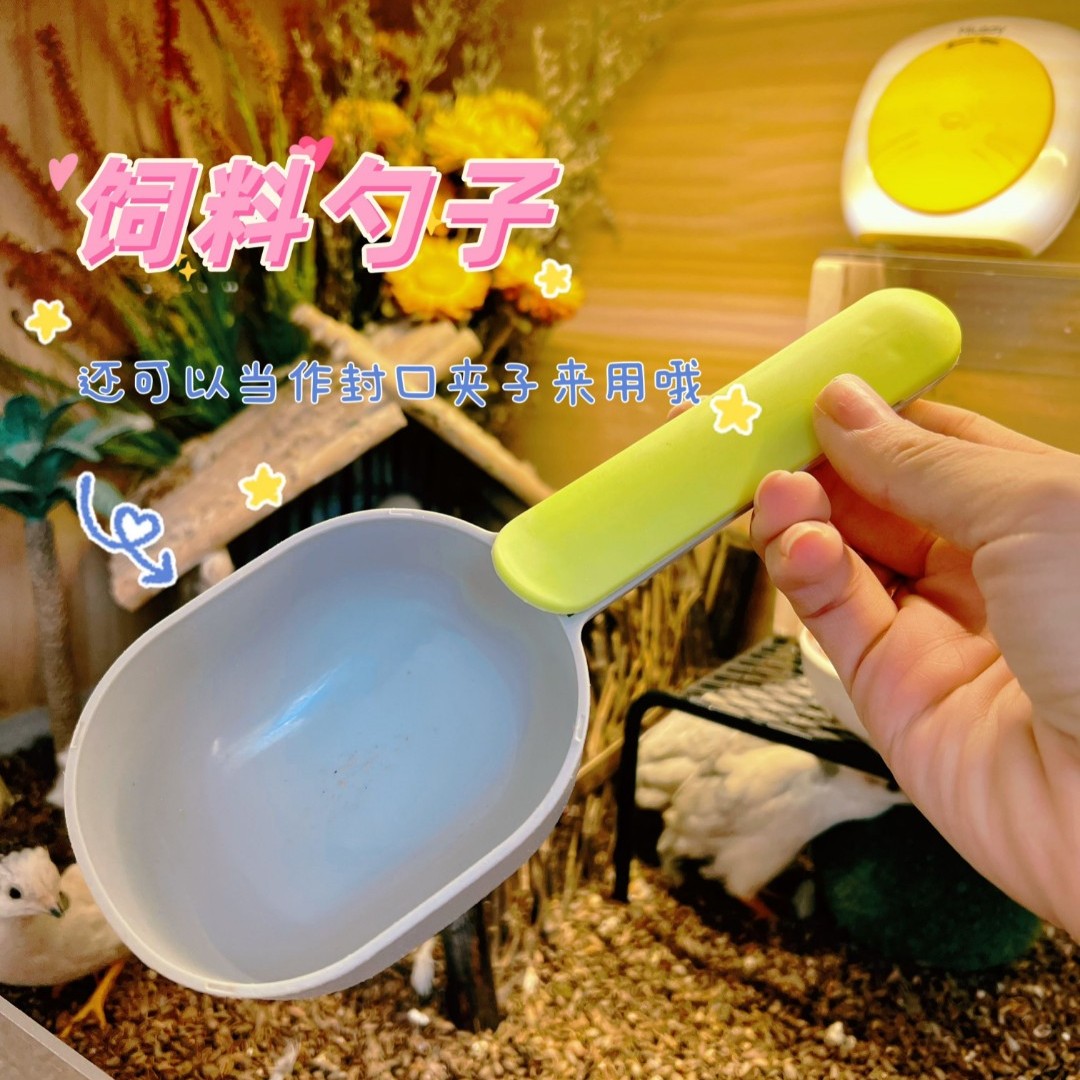网红芦丁丁饲料专用小勺子饲料勺子鹦鹉鸟类猫犬都可用