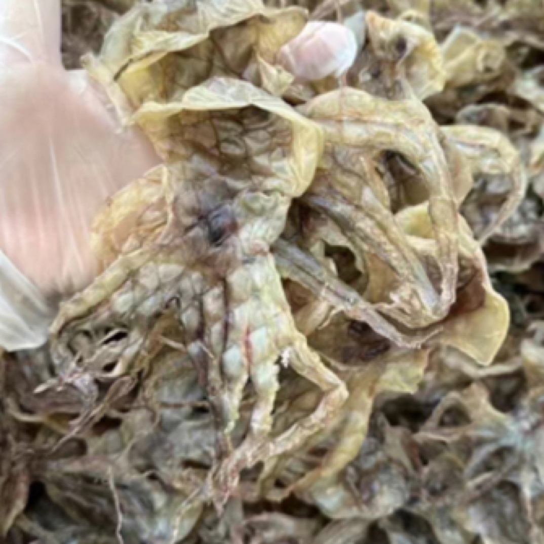 章鱼 沙章 淡口味 八爪鱼 煲汤 海产干货