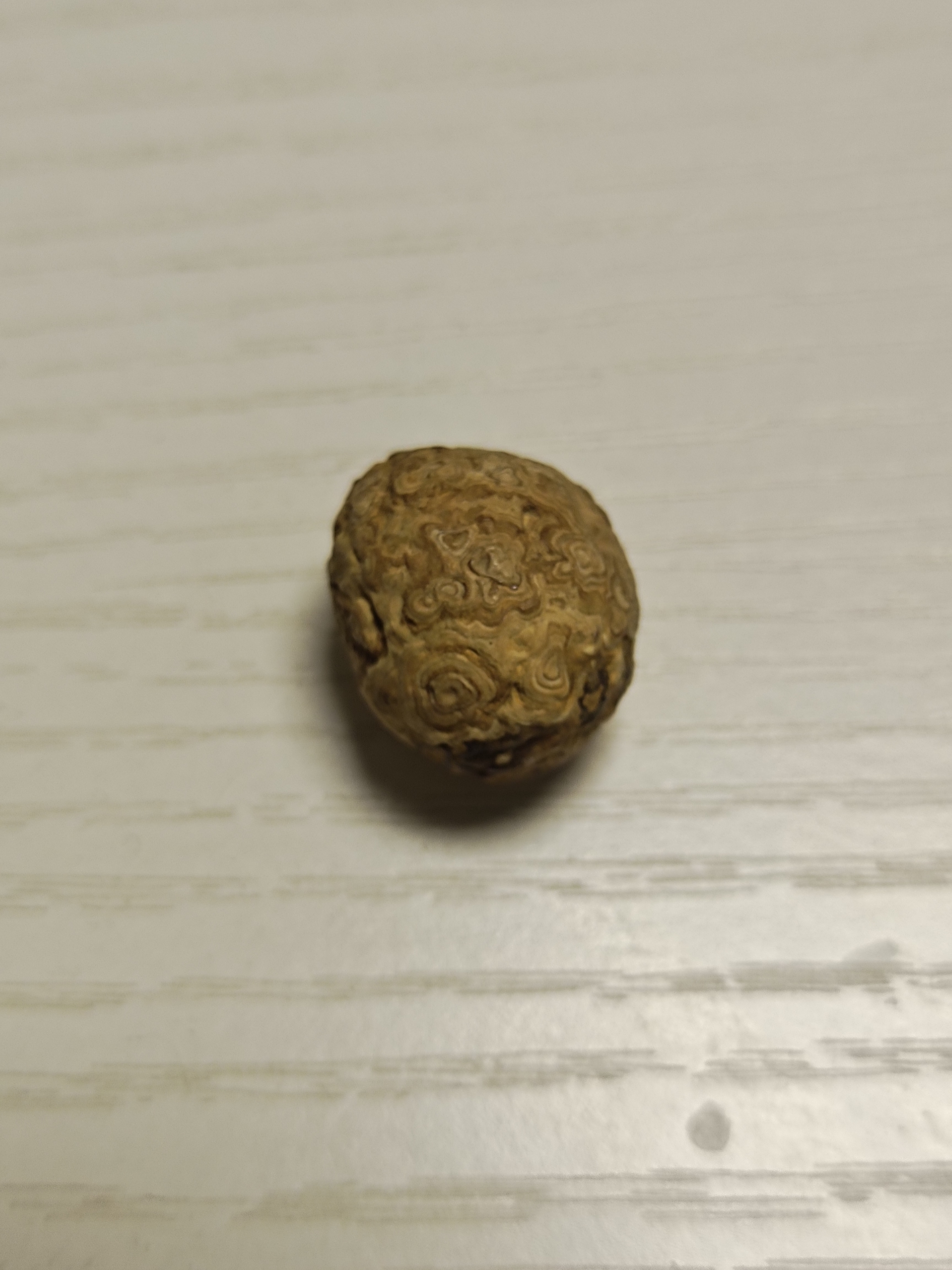 九眼石页岩蒙珠子