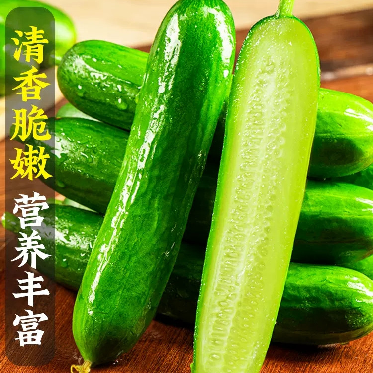 肚包肉500g*2包 新鲜好吃 包邮