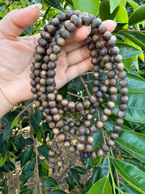 AA 高货0.8*26 圆珠多圈多样性发1 奇楠沉香