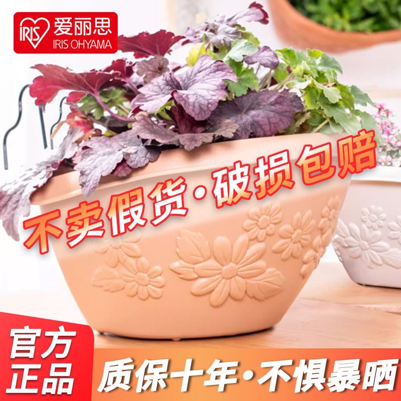 爱丽思iris花型纹壁挂花盆加厚半圆挂墙塑料带挂钩多肉吊兰爱丽丝