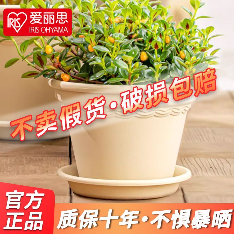 爱丽思蛋糕杯情绪稳定控根树脂加仑盆月季绣球绿萝爱丽丝塑料花盆