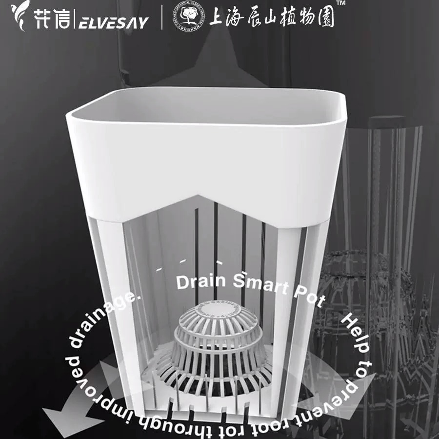 花信呼吸盆M9花烛龙舌兰育苗盆块根花烛蔓绿绒热植透气通用花盆