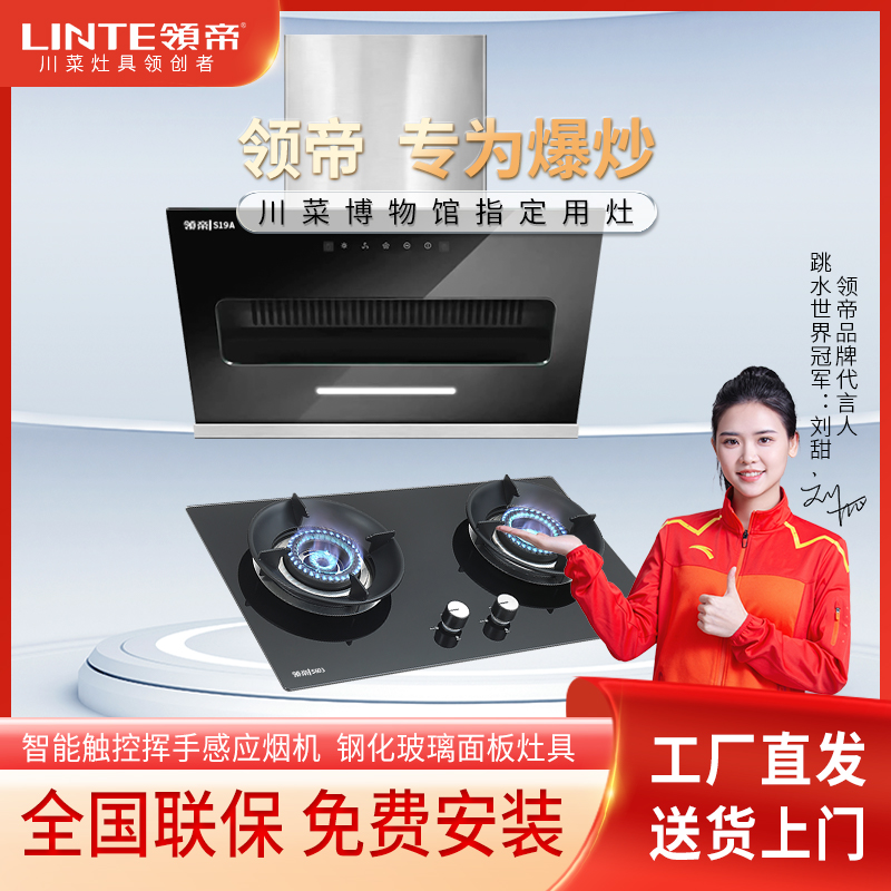 【厂家直销】领帝侧吸烟机烟灶S19A+燃气灶S603+热水器X22家用套装