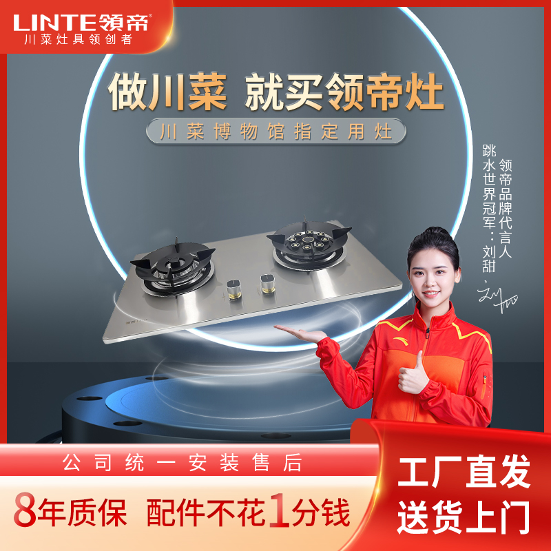 【厂家直销】川菜灶具S530双灶鸳鸯猛火灶双层面板两用燃气灶具