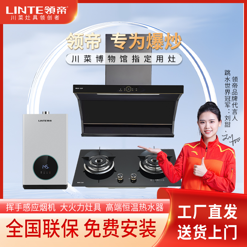 【厂家直销】领帝油烟机S30F+燃气灶S580+热水器X22家用烟灶三套装