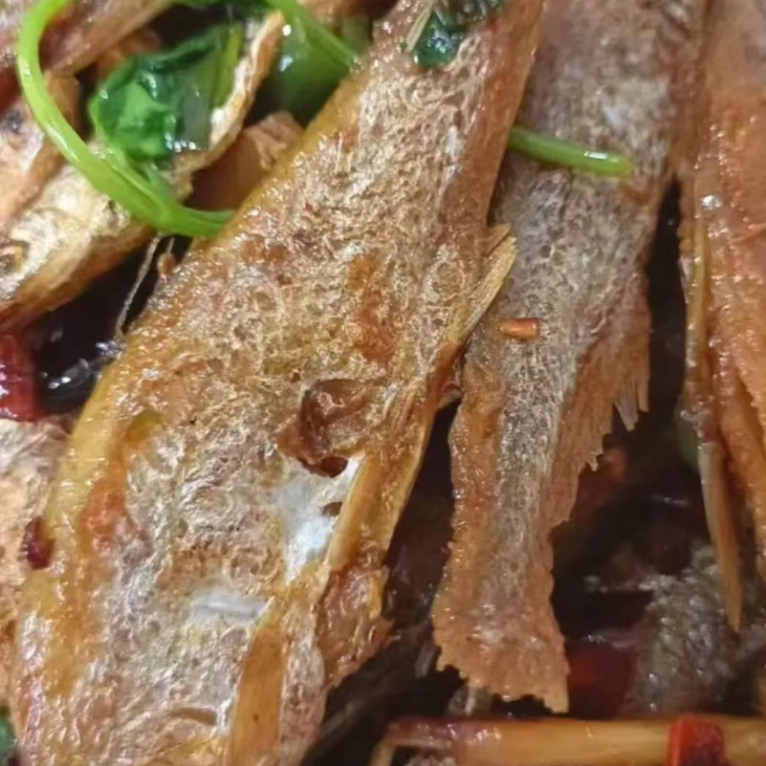河南信阳南湾湖野生翘嘴鱼大白鱼红烧干焖