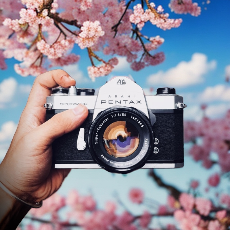 95新 Pentax/宾得 宾得sp pentax sp 中古胶片相机 135全机械相机