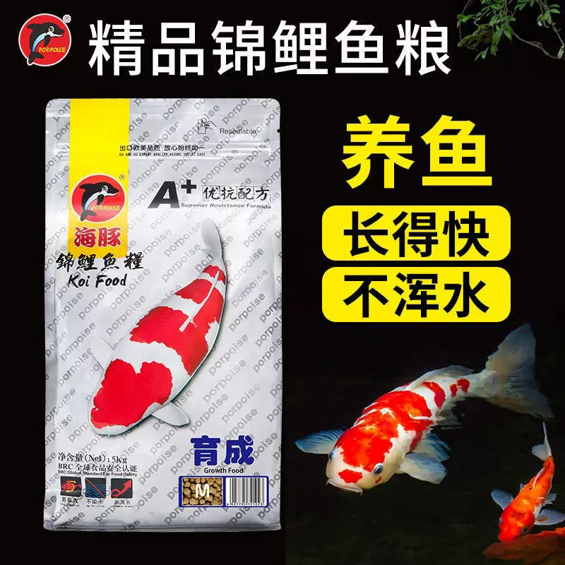 海豚锦鲤鱼粮育成鱼粮健康成长营养丰富