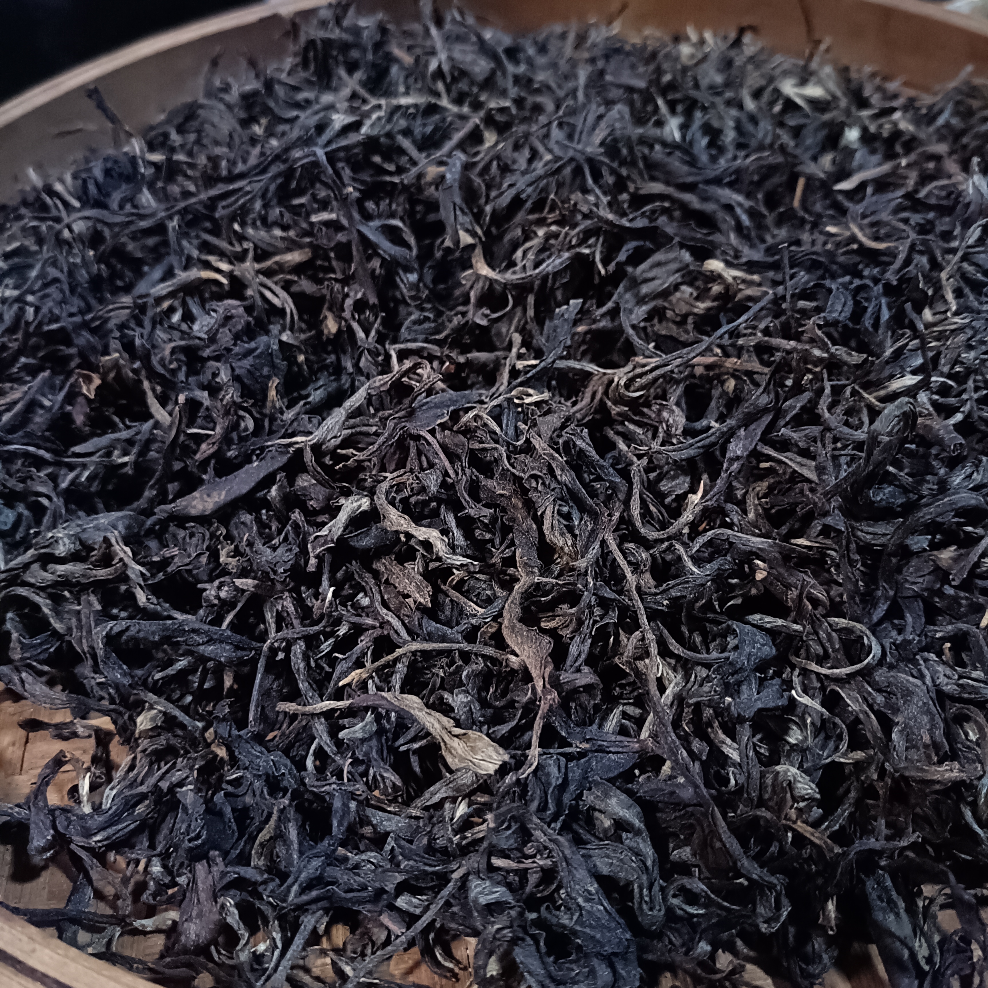 景迈山茶农直销大平掌纯料古树茶100克2014年头春