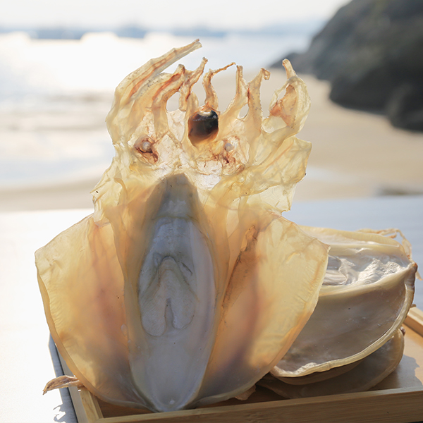 东海野生淡干墨鱼干大号墨鱼干新鲜目鱼干海鲜煲汤送礼特产