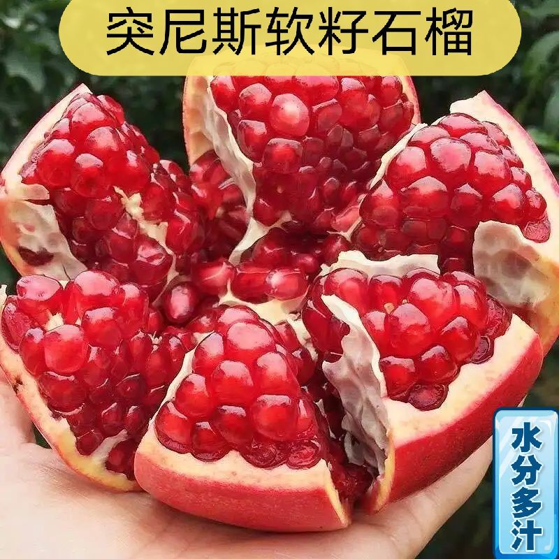 KX【树上熟】会理突尼斯软籽石榴净重4.5-8斤新鲜采摘多汁【花皮果】