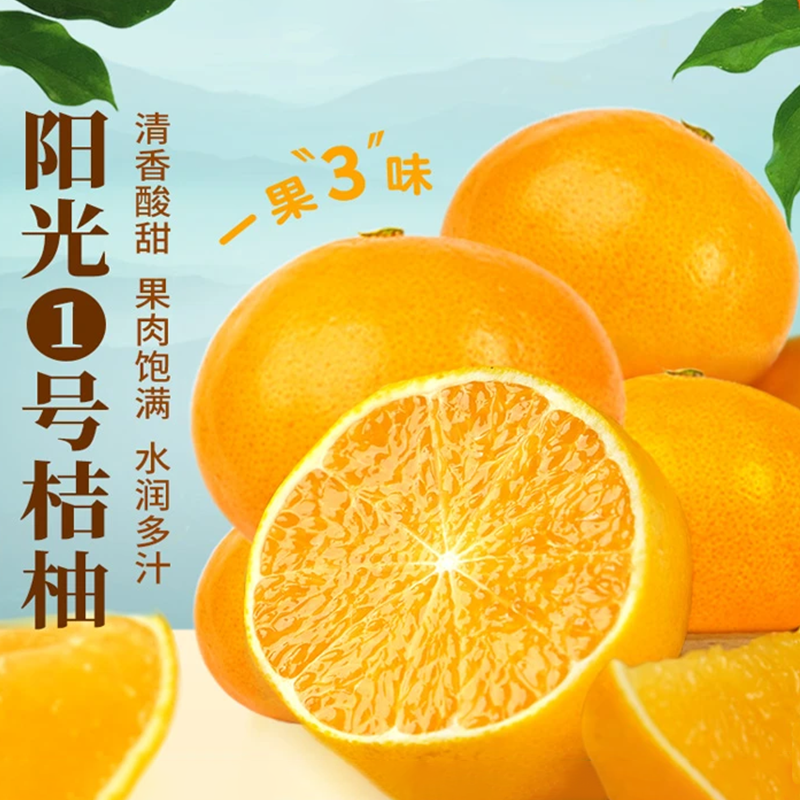 阳光1号桔柚 4.5斤 装优选酸甜多汁爽口新鲜采摘水润饱满坏果包赔