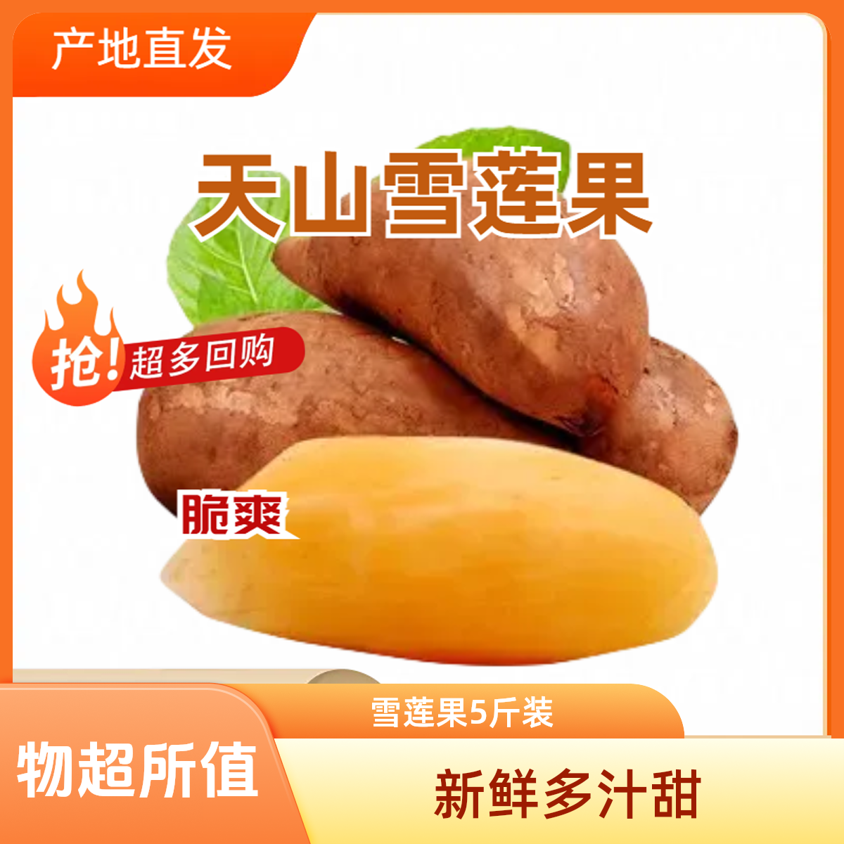 云南雪莲果清甜多汁脆嫩可口新鲜水果现挖发货5斤5-10个装