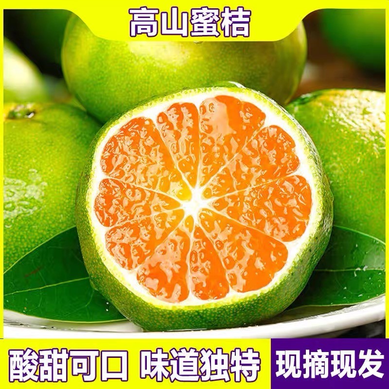 【三分酸七分甜】丨云南无籽青皮蜜橘当季新鲜水果果园现摘现发酸甜