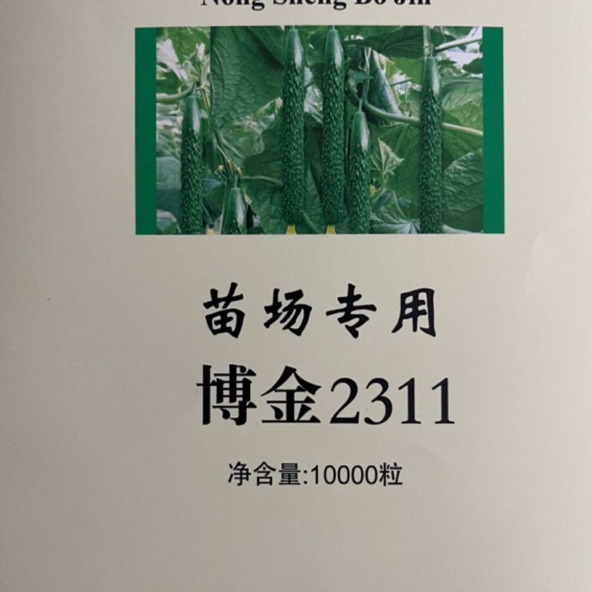 越冬茬，早春茬博金2311